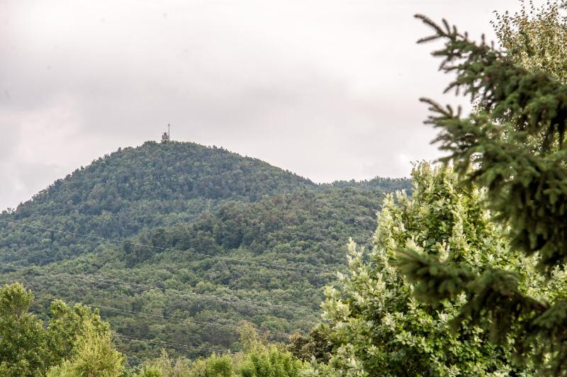 Superior Apartment image 4