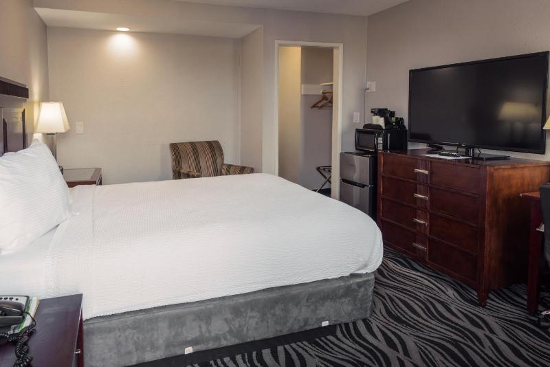 Family Suite image 3