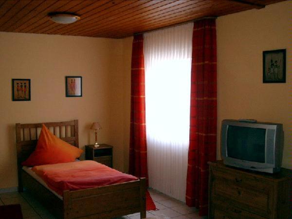 Budget Single Room image 2