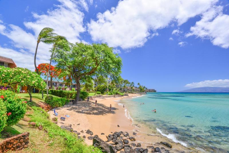 Kuleana 622 1Bdrm Condo - image 39
