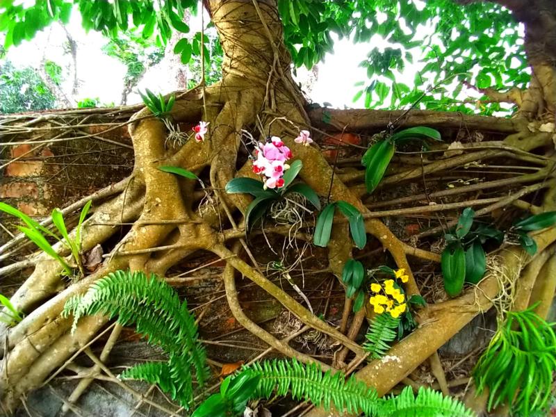 Meinong Yun Shanju Homestay - image 15