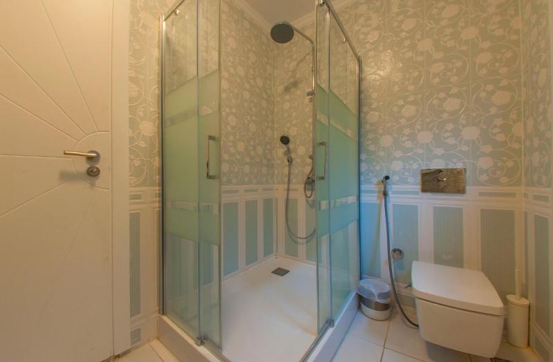 Deluxe Villa image 3