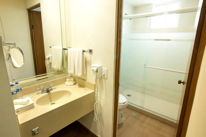 Best Western Centro Monterrey - image 49