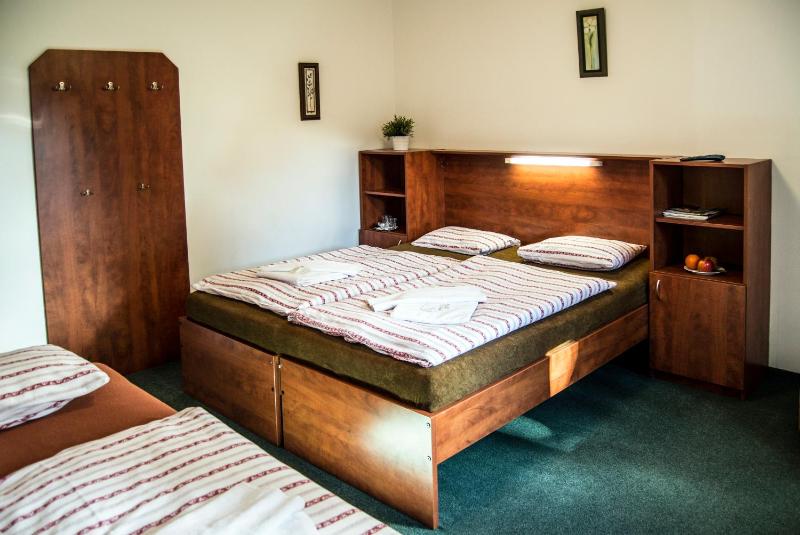 Standard Family Room image 4