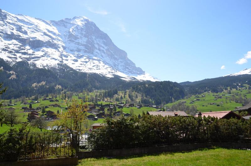 Three-Bedroom Apartment with Terrace and Mountain View image 4
