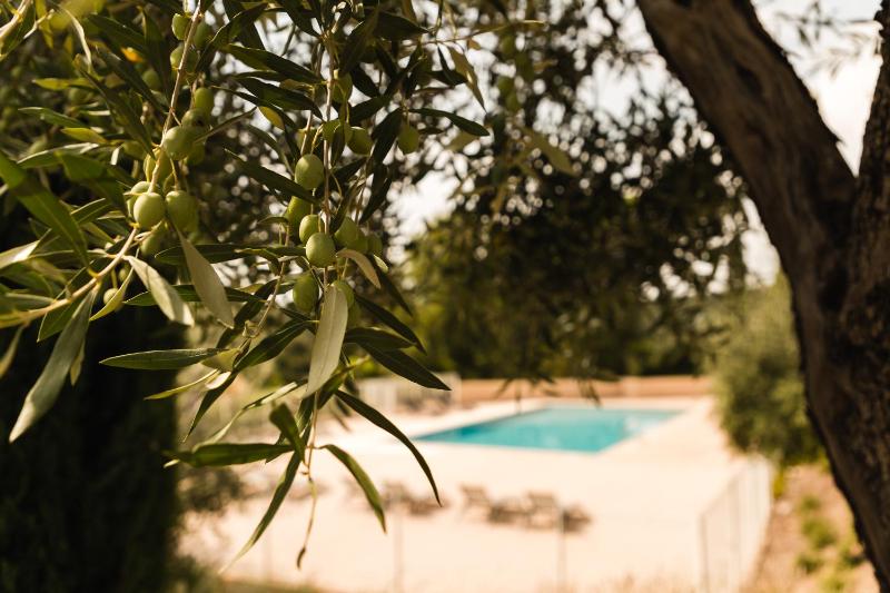 Garden & City Les Bastides de Grimaud - image 37