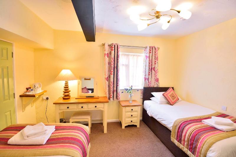 Standard Twin Room image 3