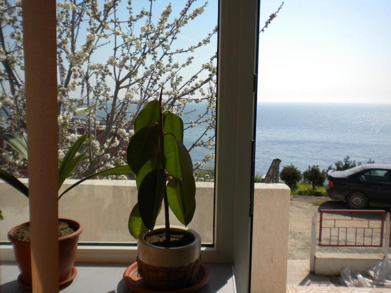 Vila Lucian - image 29