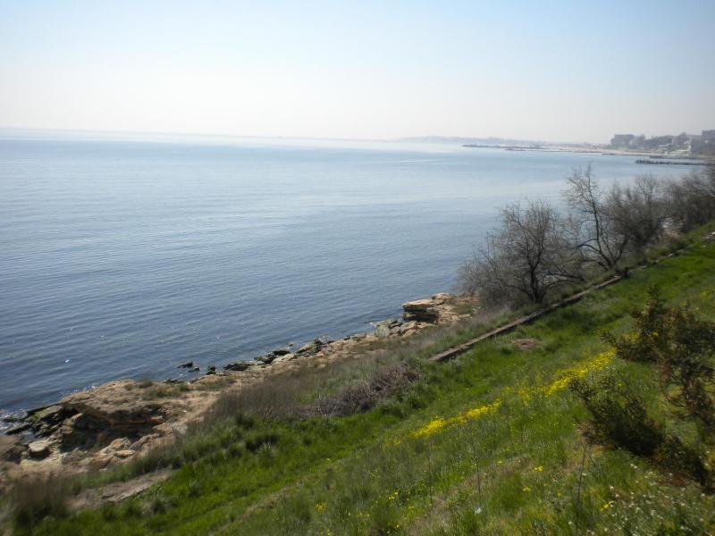 Vila Andreea - image 36