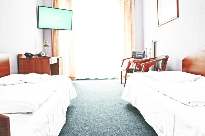 Standard Twin Room image 2