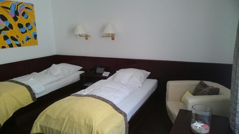 Standard Twin Room image 4