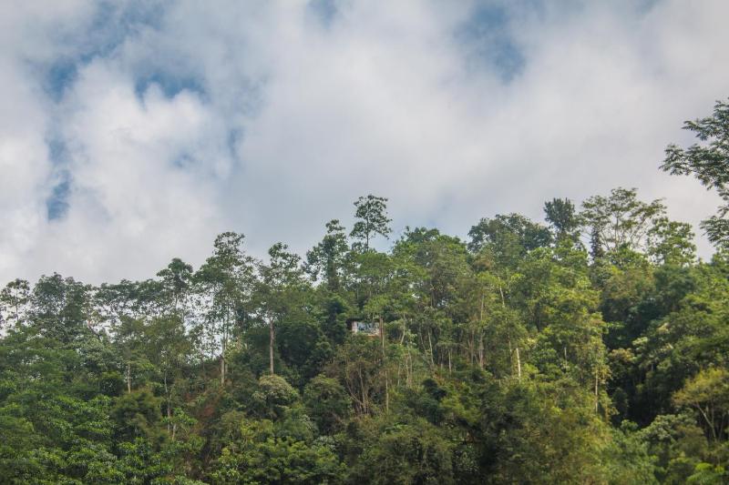 Tree Houses by Jungle River - image 10