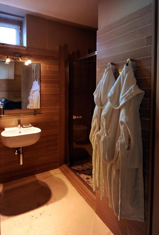 Deluxe Suite image 2