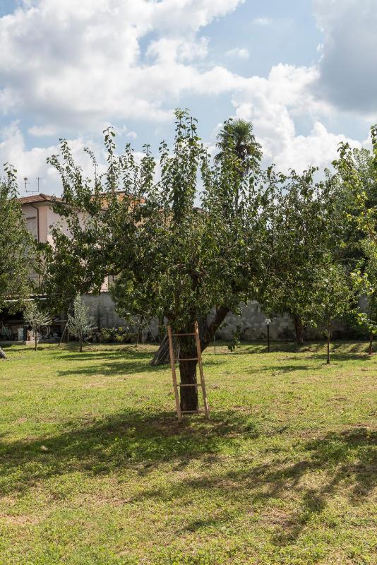 La Chiusa delle Monache - image 7