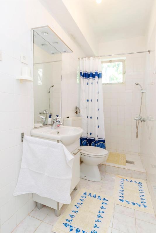 One-Bedroom Apartment image 3