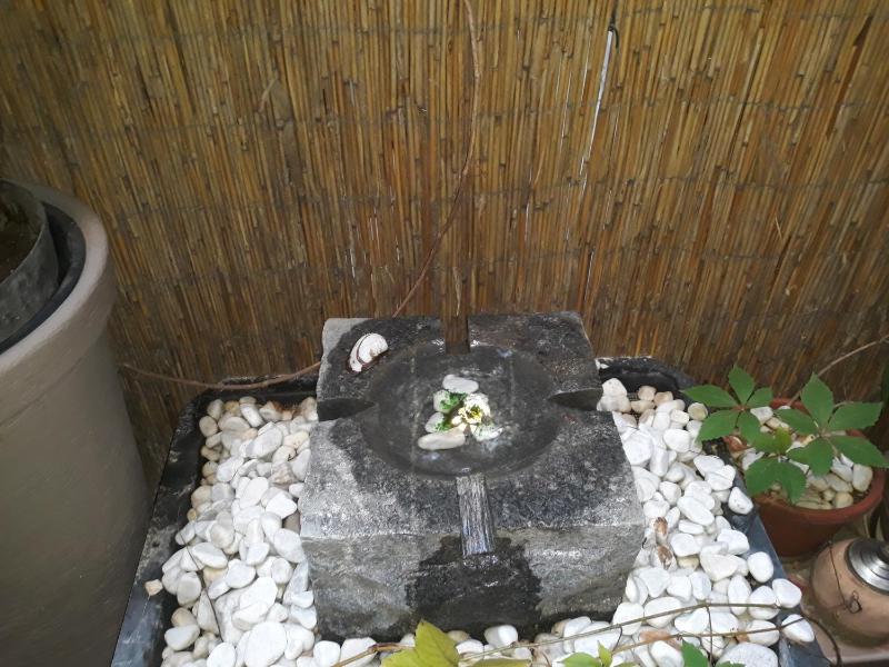 Connection Guesthouse - image 8