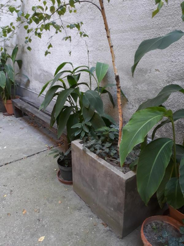 Connection Guesthouse - image 9