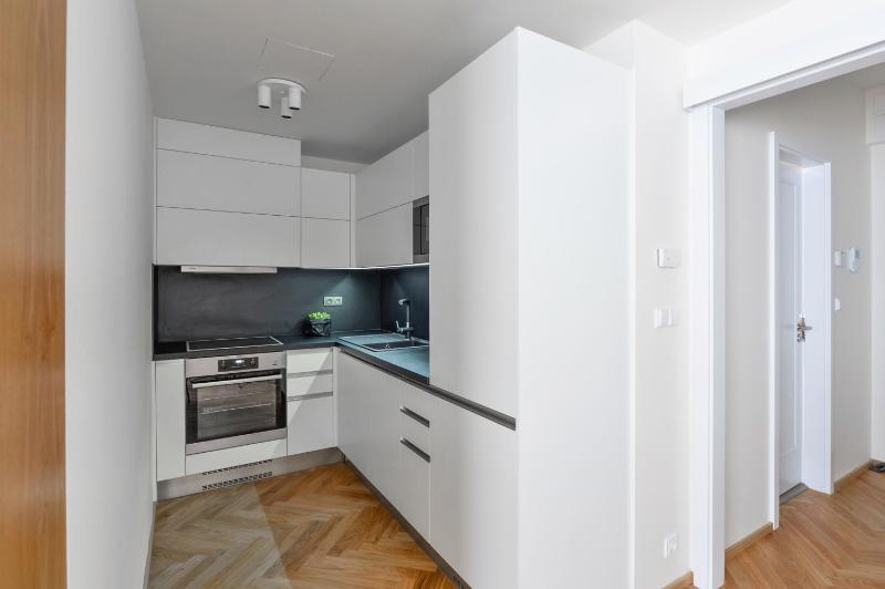 One-Bedroom Apartment image 4