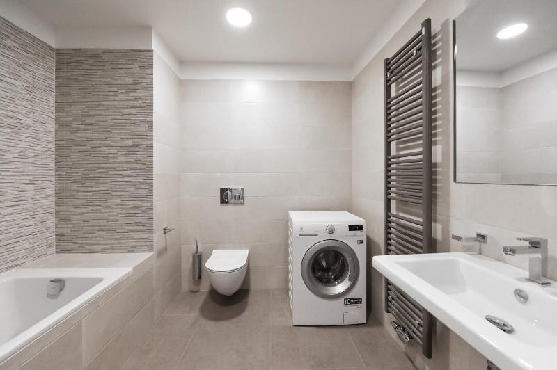 One-Bedroom Apartment image 3