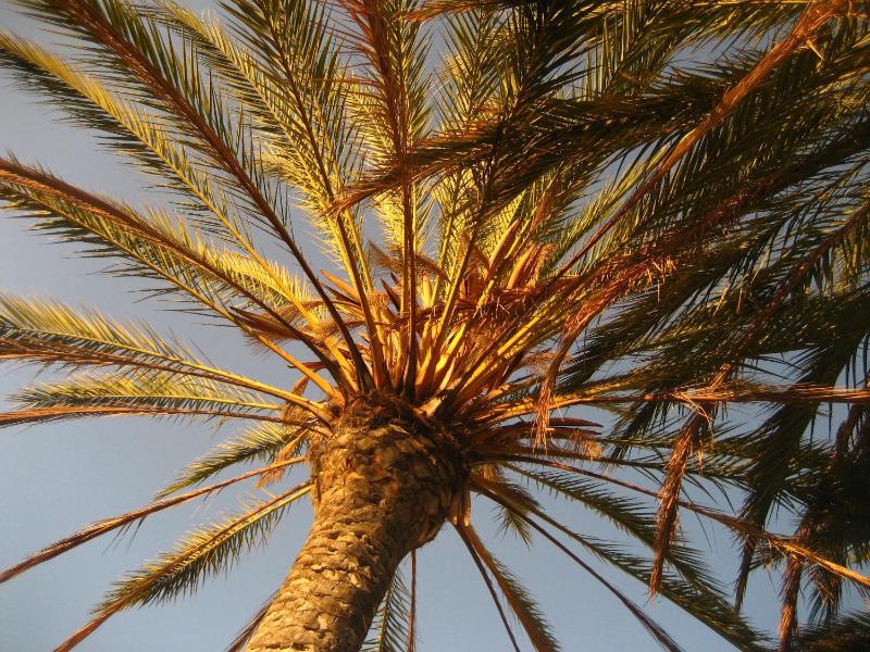 Birdcage Gay Men Resort and Lifestyle Hotel - image 29
