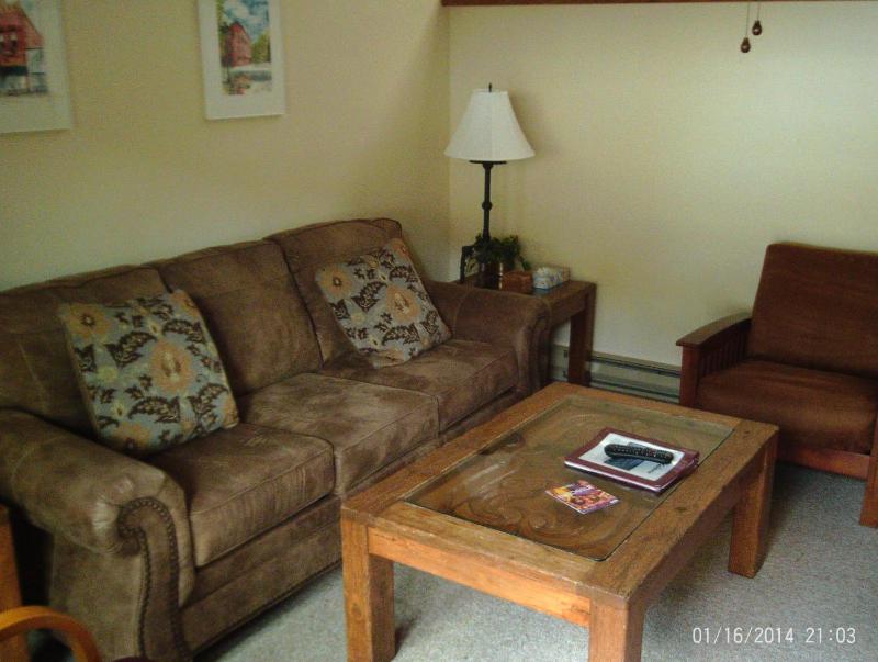 Shadow Mountain Lodge - image 20