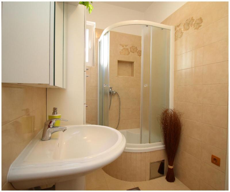 One-Bedroom Apartment image 3