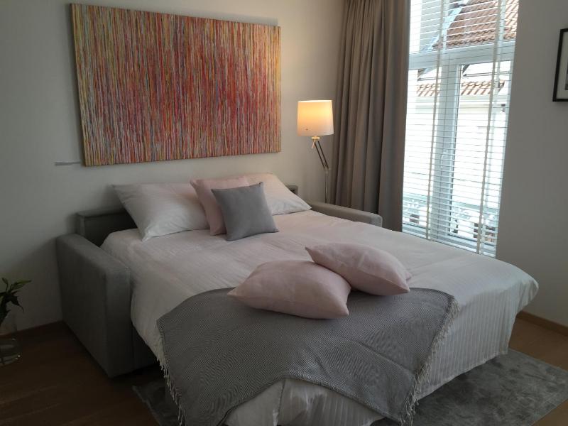 Antwerp Town House Accommodations - image 14