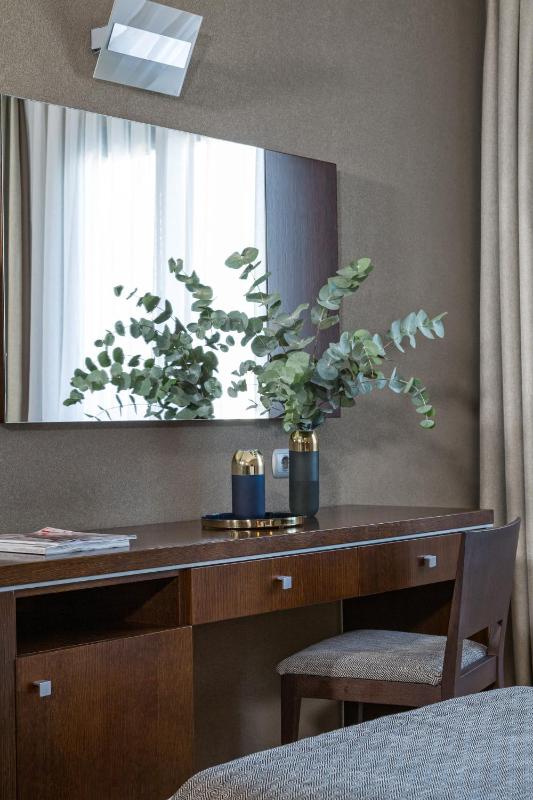 Superior Single Room image 3