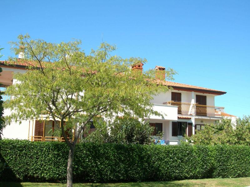 Studio with Terrace image 2