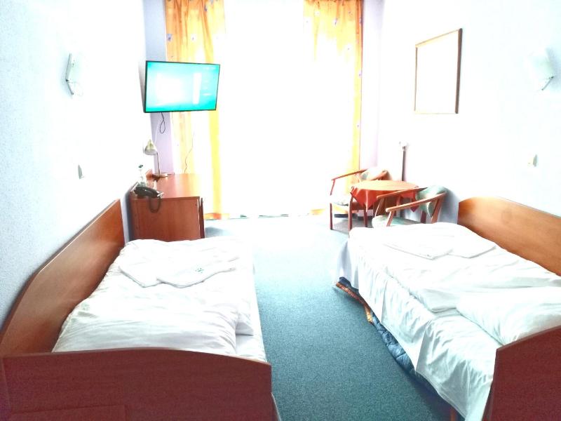 Standard Twin Room image 1