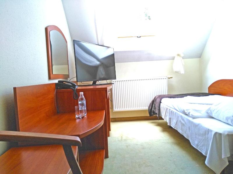 Standard Single Room image 4