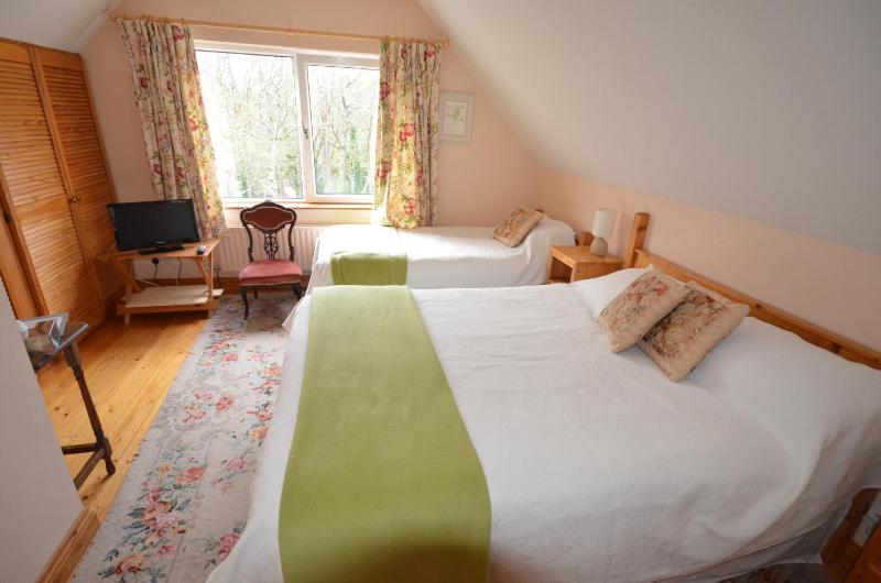 Camillaun Lodge with Lough Corrib Boat Hire - image 13