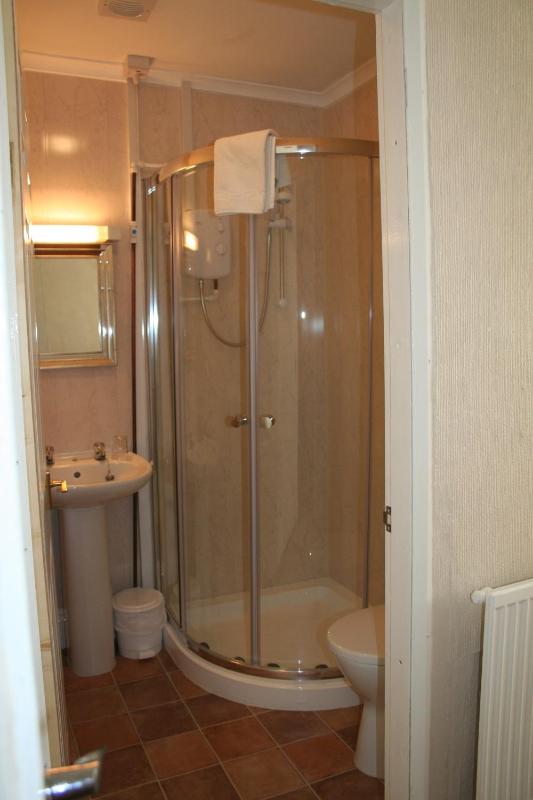 Superior Single Room image 2