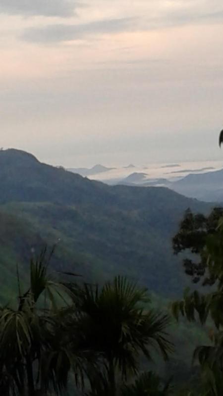 Sun View Resort Kithalella - image 24