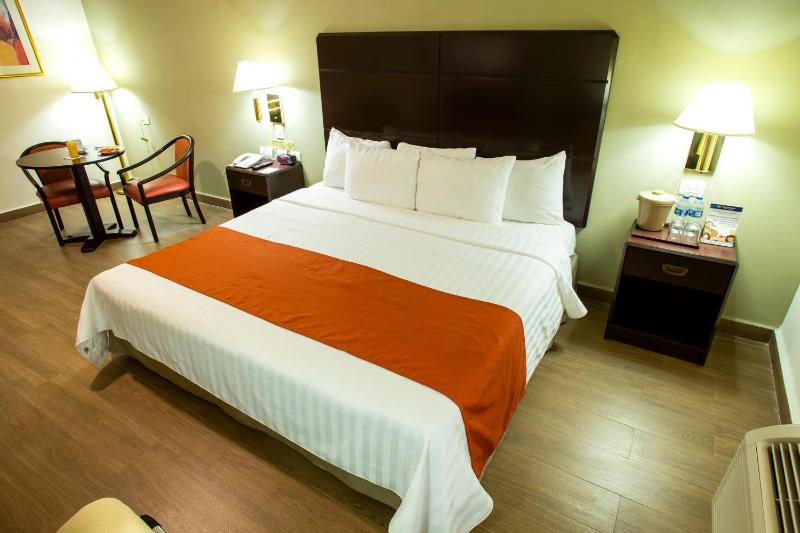 Hotel Plaza Calzada - image 19