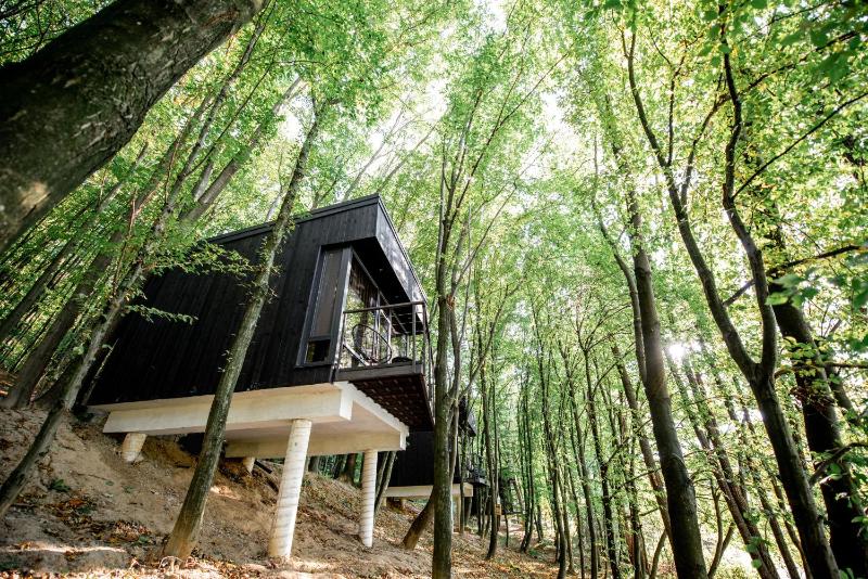 Chalet image 1