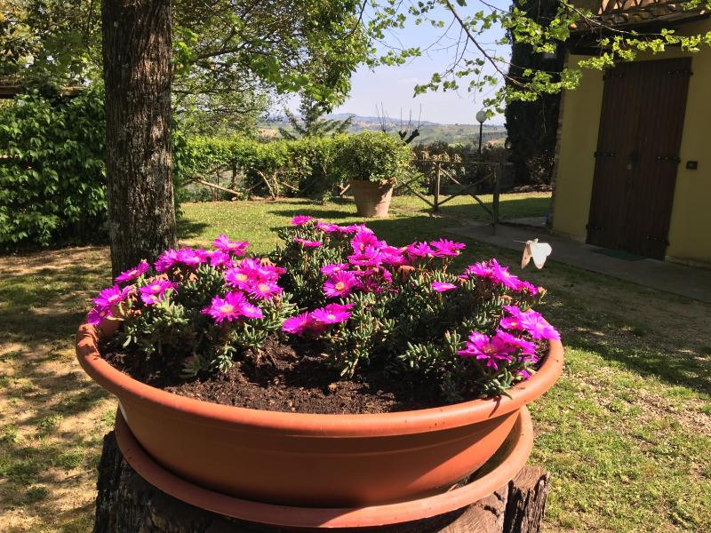 Apartment with Private Garden image 4