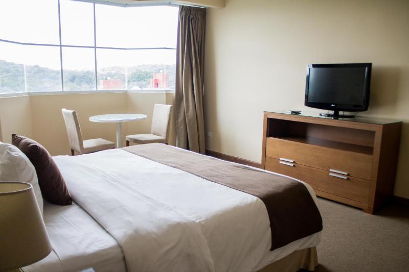 Central Park Hotel & Casino - image 12