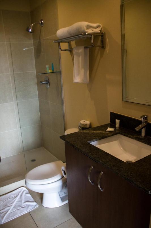 Central Park Hotel & Casino - image 10