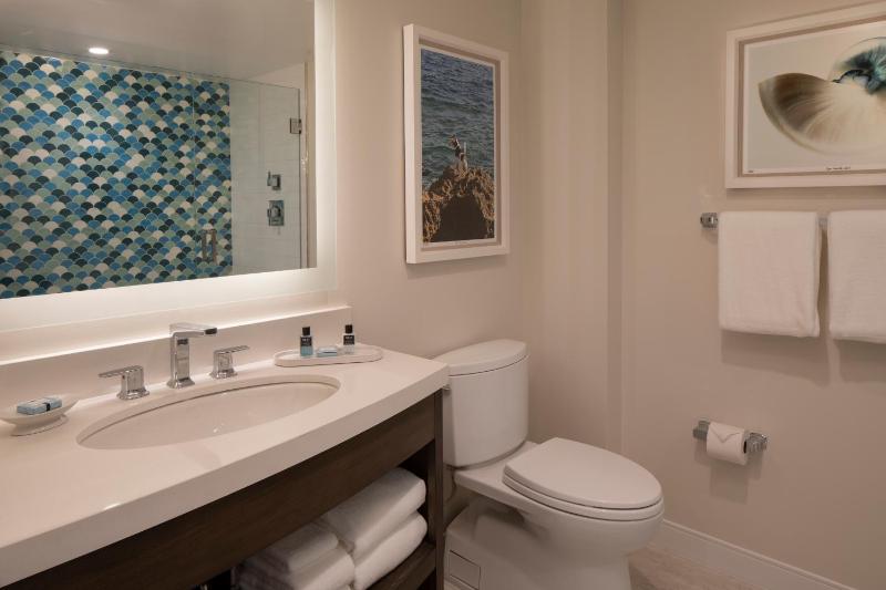Superior King Suite image 2