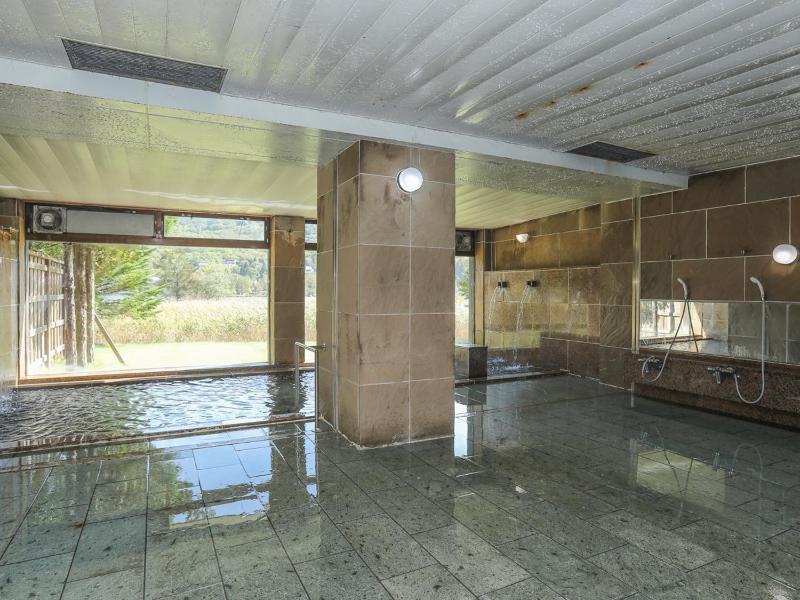 Shirakabako View Hotel - image 21
