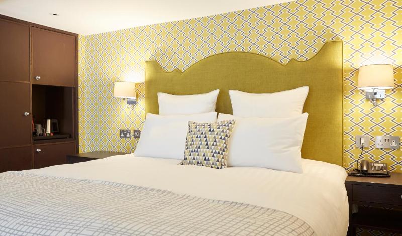 Deluxe King Suite image 1