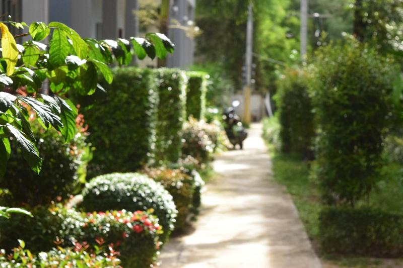 Tamarind Lanta Resort - image 23