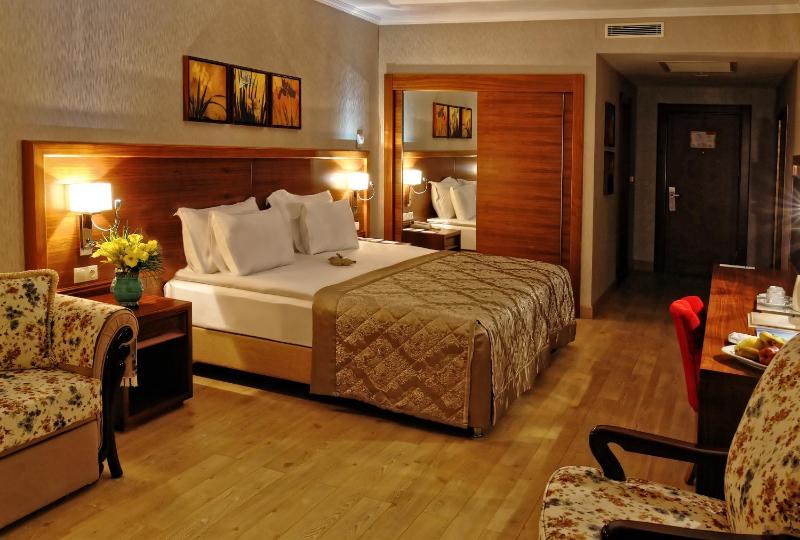 Standard Double or Twin Room image 2