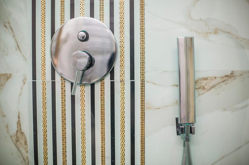 Deluxe Suite image 2