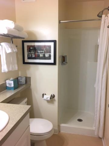 One-Bedroom Apartment image 3