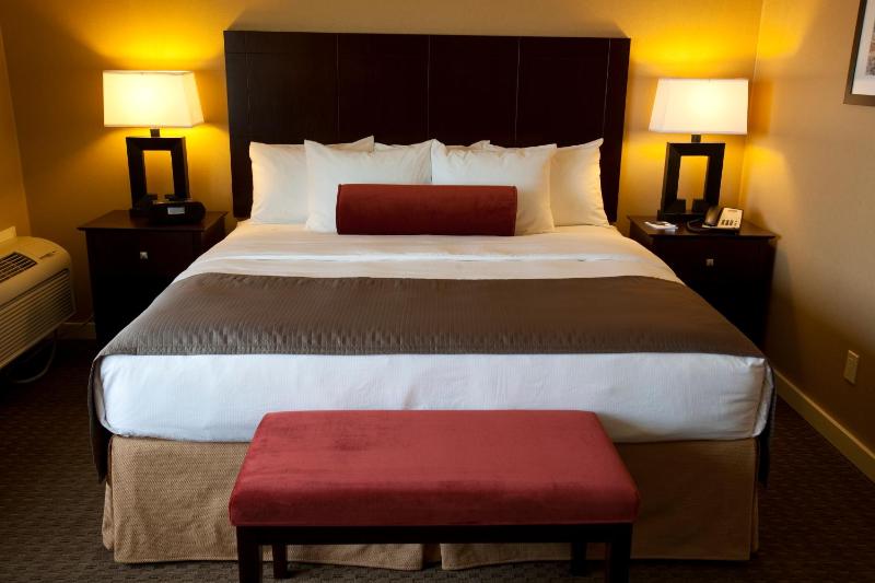 Deluxe King Room image 4