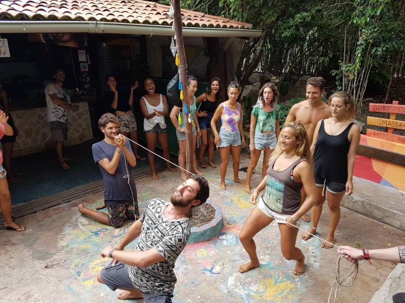 Lagarto Na Banana Hostel - image 3