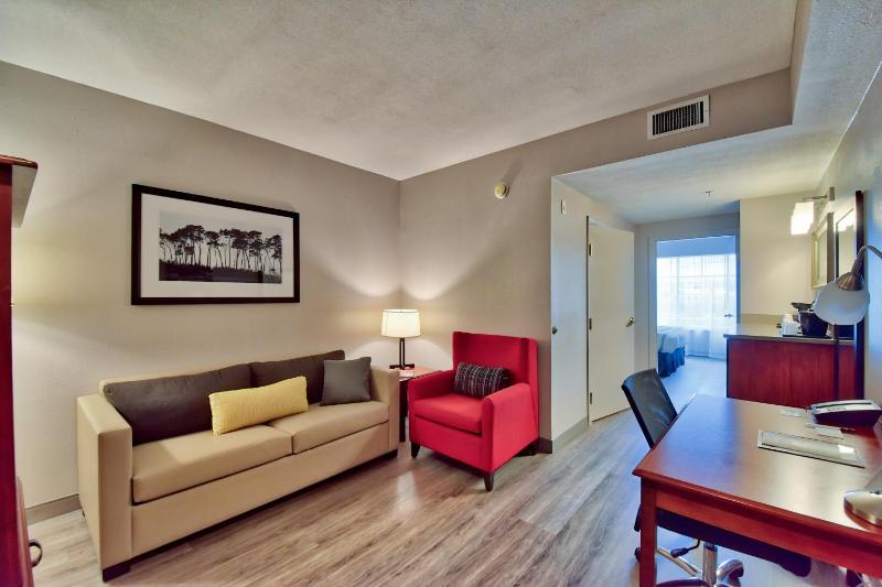 One-Bedroom King Suite - Non-Smoking image 4