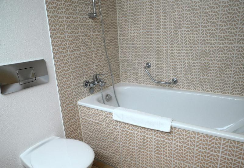 Classic Apartment image 3